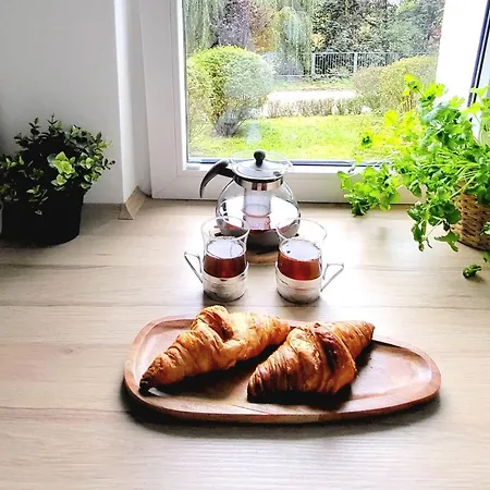 Miedzynarodowa National Stadium By Mia *